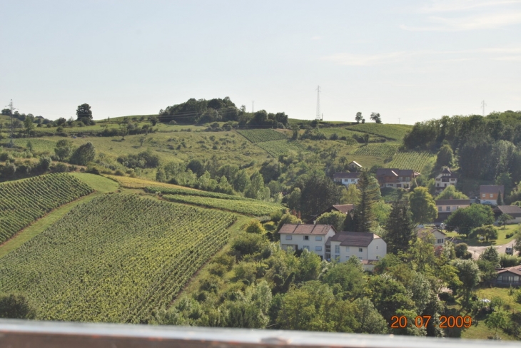 Vue d'en haut du clocher - Arbois