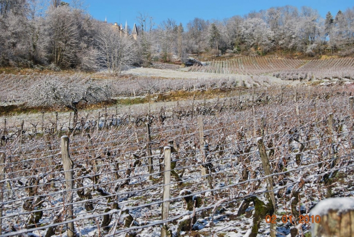 Les Tourillons - Arbois