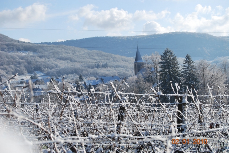 Coteau des Nouvelles - Arbois