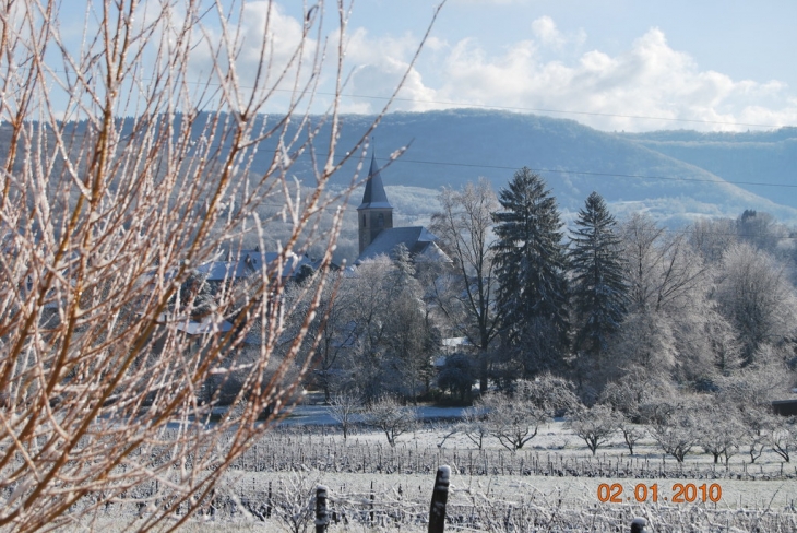 Coteau des Nouvelles (Mesnay) - Arbois