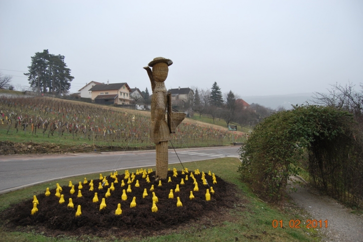 Percée  vin jaune 2011 - Arbois