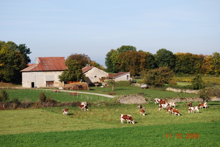 La ferme d'Arces à Arbois