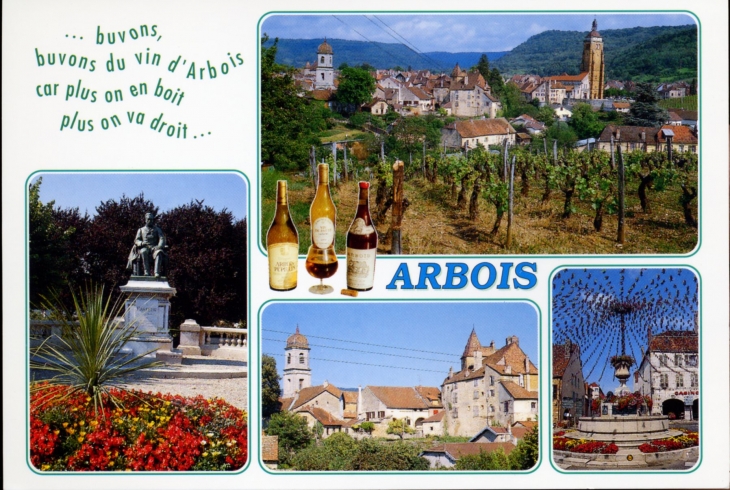 Dans ce village, célèbre par son fameux vin, séjourna régulièrement le grand biologiste louis Pasteur (1822-1895). (Carte postale). - Arbois