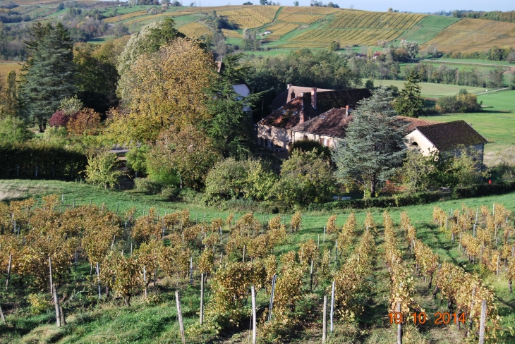 Domaune du Sorbief - Arbois