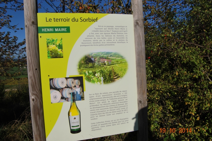 Domaine du Sorbief - Arbois