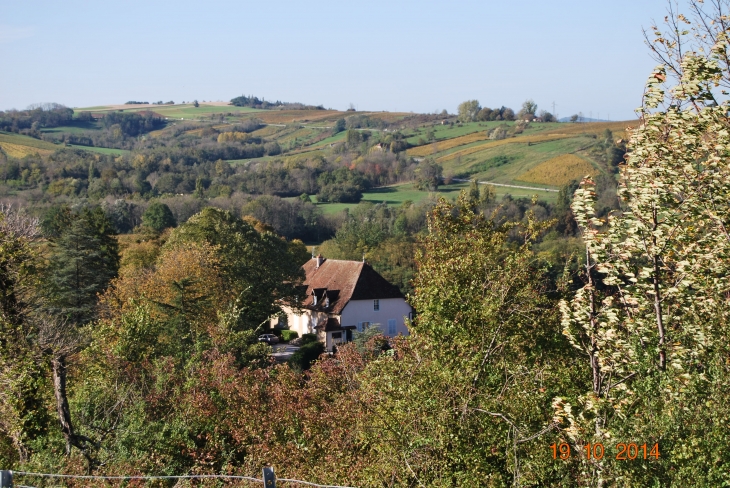 Domaine du Sorbief - Arbois