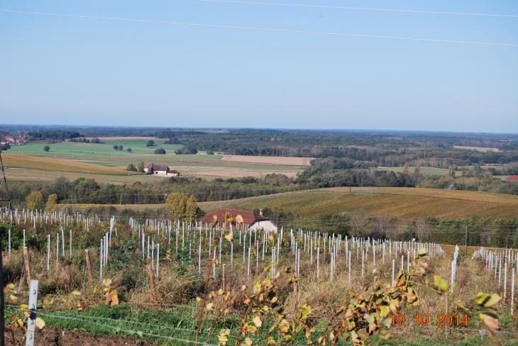 Grange Geillon et Grange Grillard - Arbois