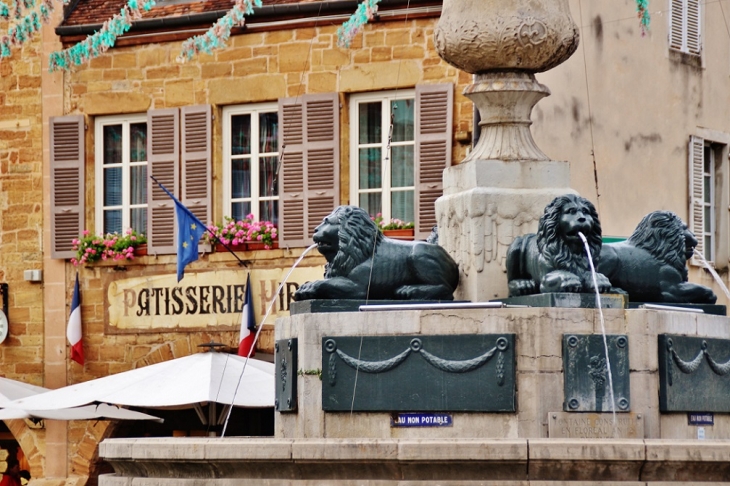 Fontaine - Arbois