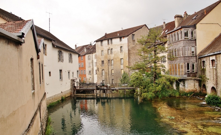 La Cuisance - Arbois