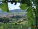 Photo suivante de Arbois vue depuis la Tour en Curon