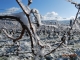 Photo suivante de Arbois coteau des Nouvelles