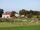 Photo suivante de Arbois la ferme d'Arces à Arbois