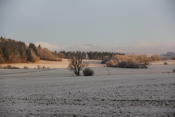 Un matin d'hiver - Barésia-sur-l'Ain