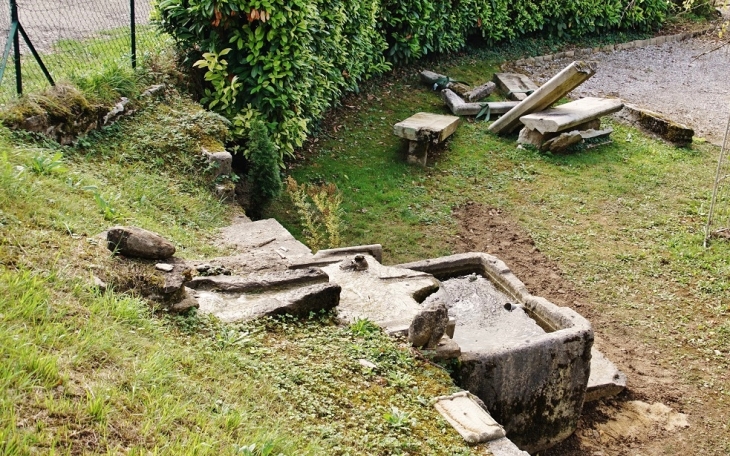 Fontaine - Baume-les-Messieurs