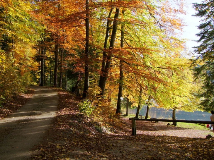 Le lac de Bonlieu