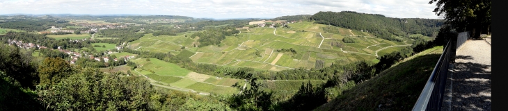 Les vignobles de Château-Chalon