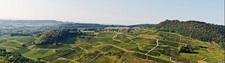 Panorama - Château-Chalon