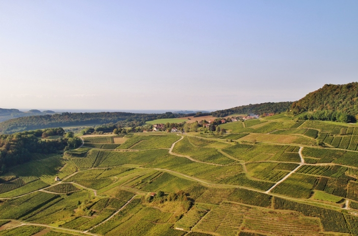 Panorama - Château-Chalon