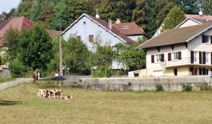 Le Village - Chaux-des-Crotenay