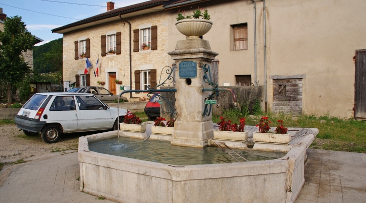 La Fontaine et la Mairie - Cornod