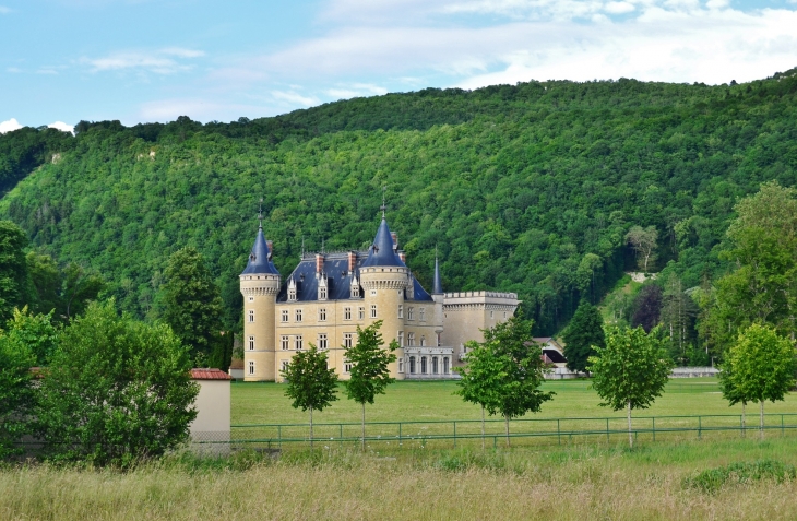 **Château de Cornod