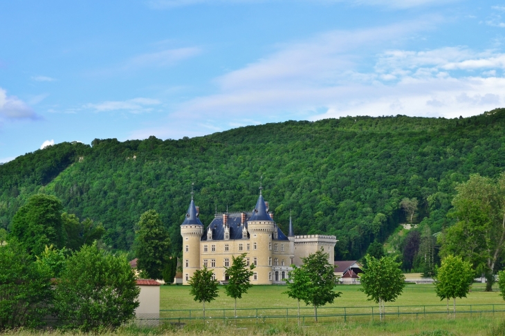 **Château de Cornod