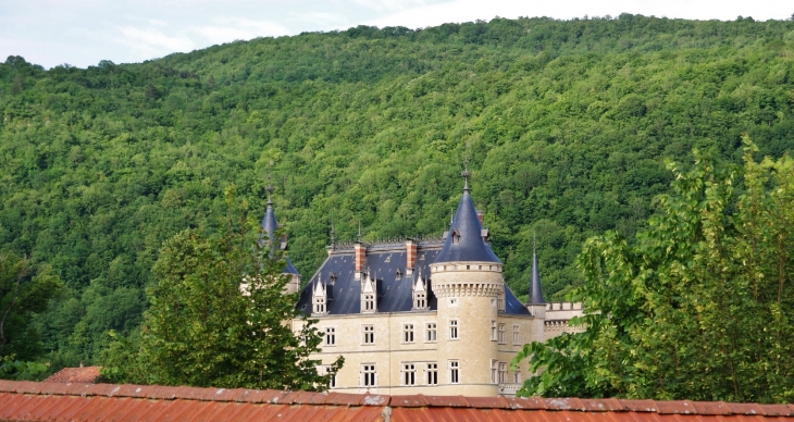 **Château de Cornod