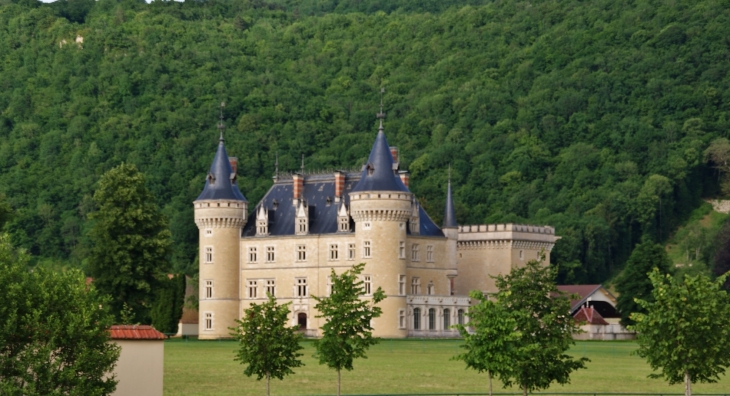 **Château de Cornod