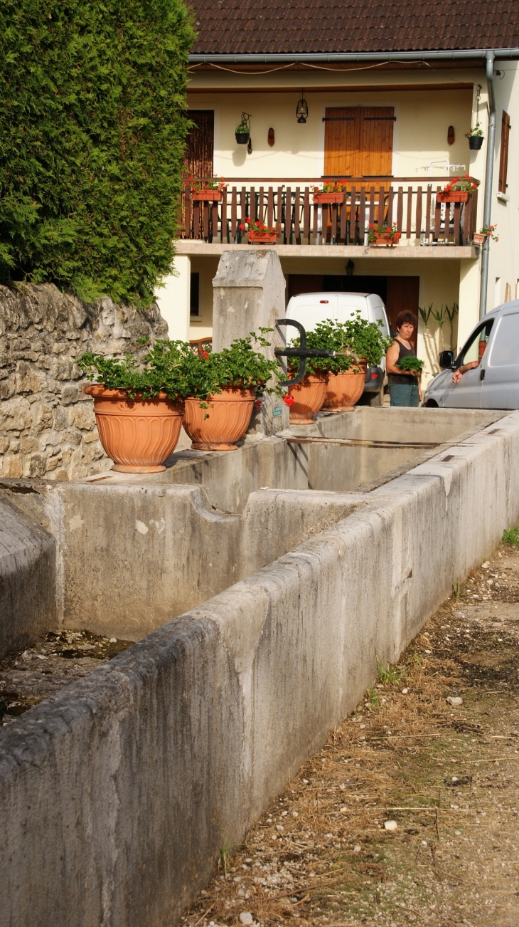 Villette commune de Cornod ( Fontaine )