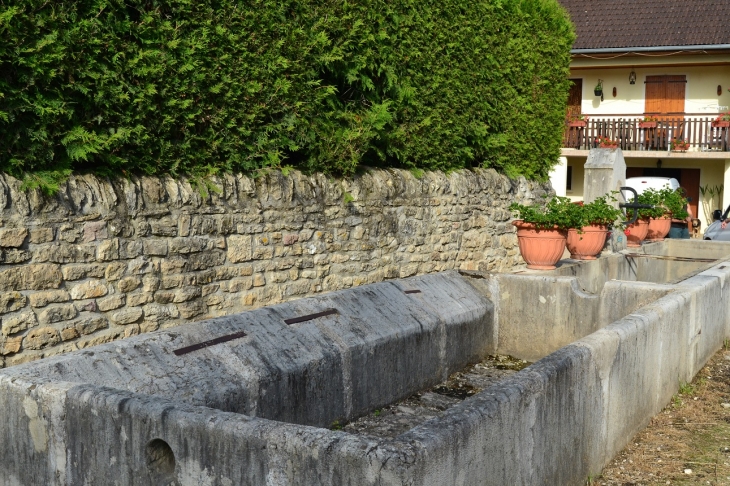 Villette commune de Cornod ( Fontaine )