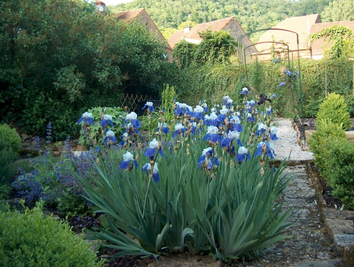 Jardin fleuri et le Château - Frontenay