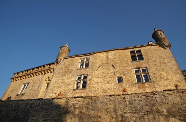 Le Château - Frontenay