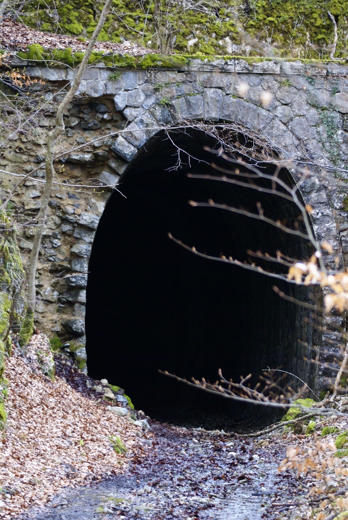 Entrée du tunnel - La Chaux-du-Dombief