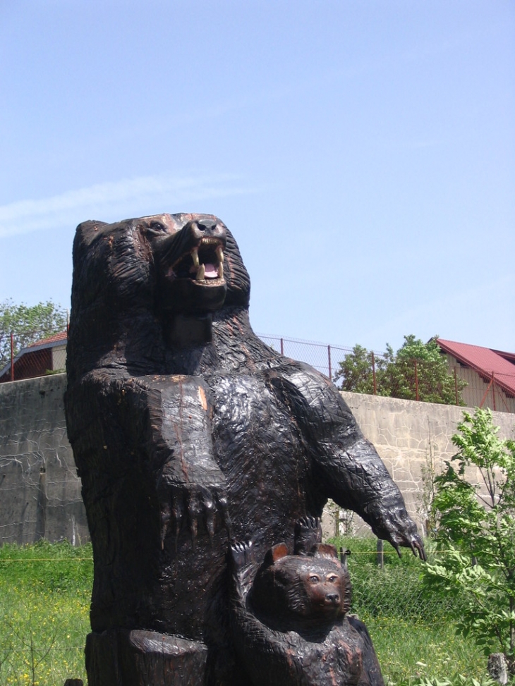 Ours vus par le sculpteur sur bois à Chaux du Dombief - - La Chaux-du-Dombief