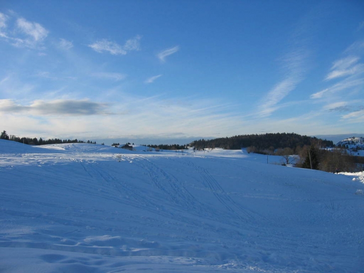 Paysage - La Pesse