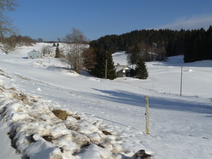 Vue générale ski de fond - La Pesse