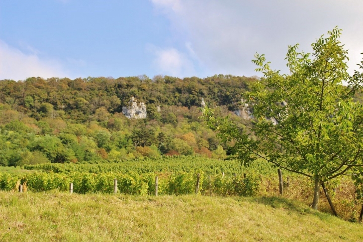 Les Vignes - Lavigny