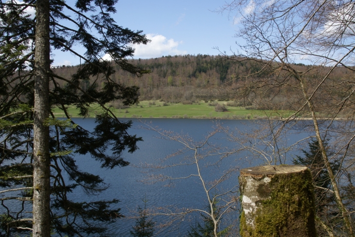 Tour du lac - Le Frasnois