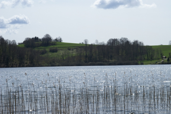 Tour du lac - Le Frasnois