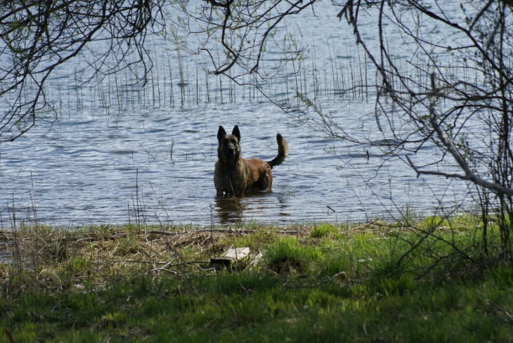 Tour du lac - Le Frasnois