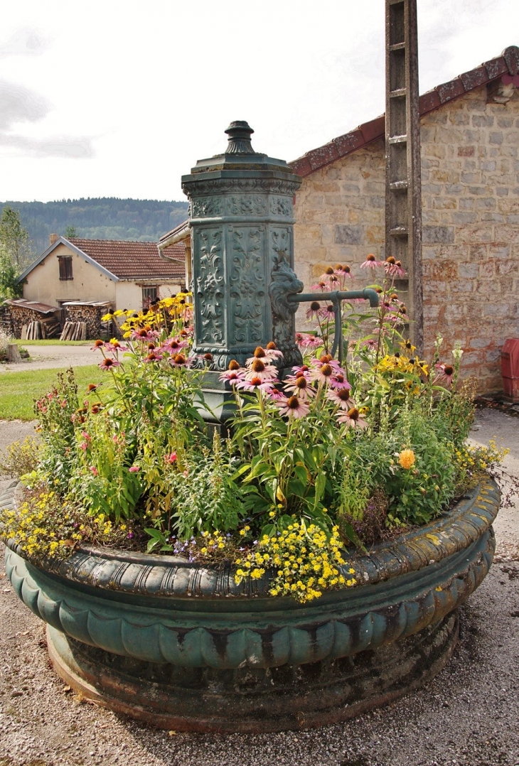 Fontaine - Le Vaudioux