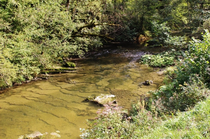 Ruisseau de Pillemoine - Le Vaudioux