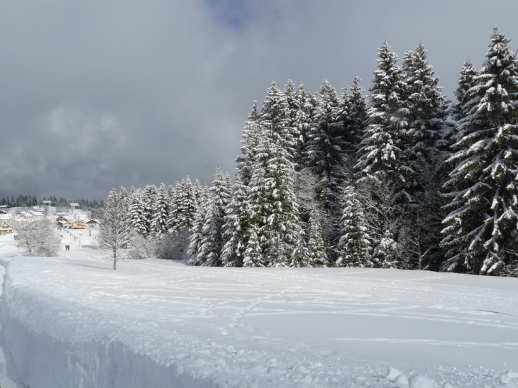 Pistes de ski de fond - Les Moussières