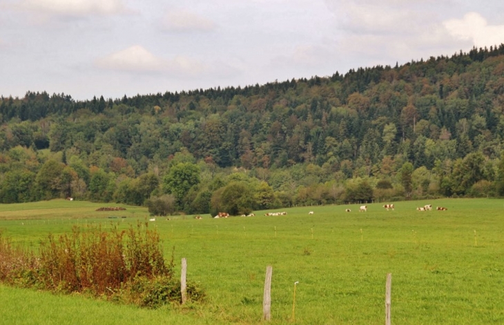 La Campagne - Loulle