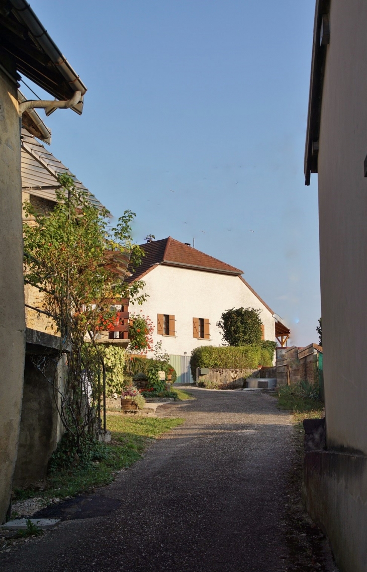 Le Village - Menétru-le-Vignoble