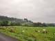 Photo précédente de Mièges En Pâture  