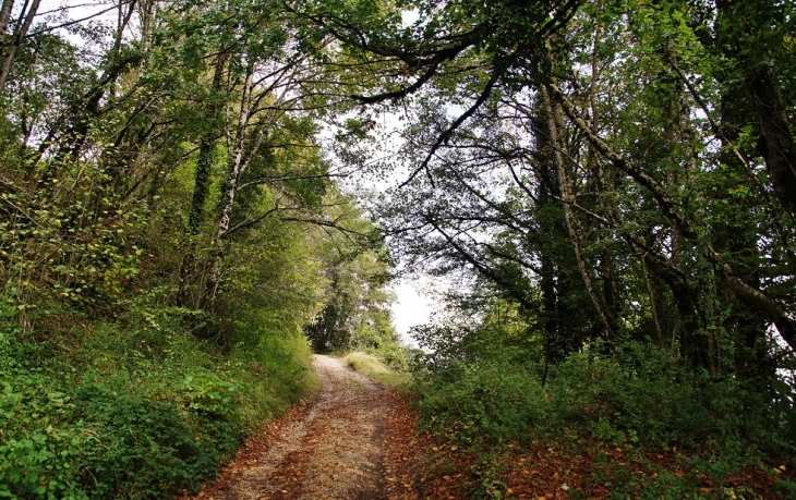 Chemin du Château  - Mirebel