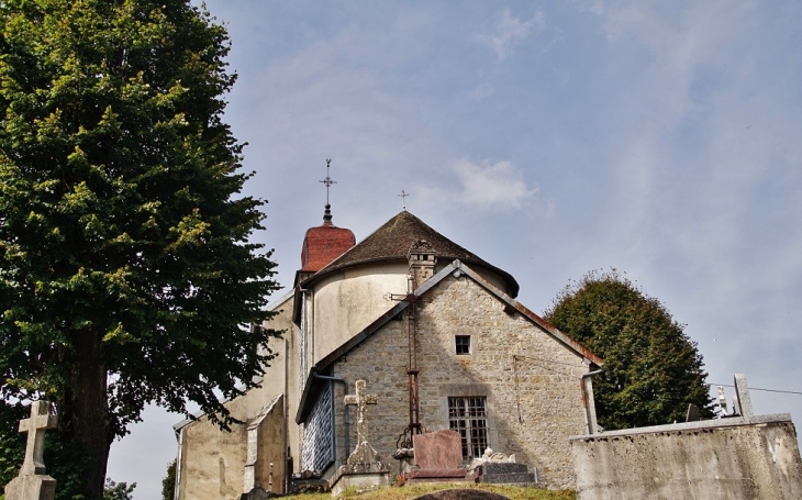 +église Saint-Maurice - Monnet-la-Ville