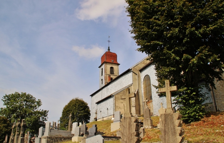 +église Saint-Maurice - Monnet-la-Ville