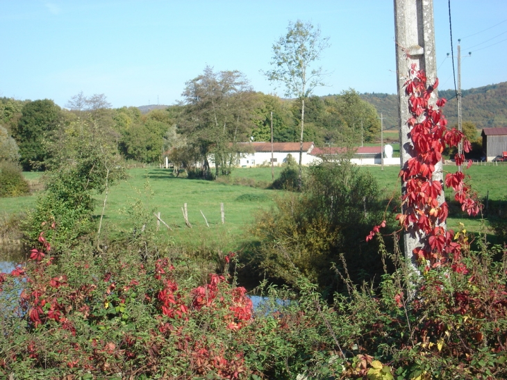 Automne à montfleur